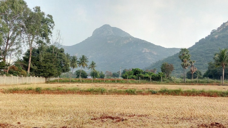 Arunachala